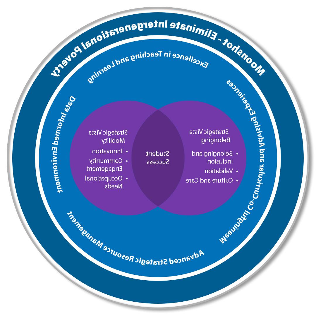 Strategic Plan - Moonshot Diagram